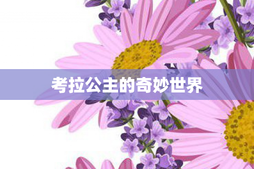考拉公主的奇妙世界