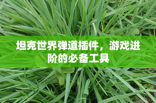 坦克世界弹道插件，游戏进阶的必备工具