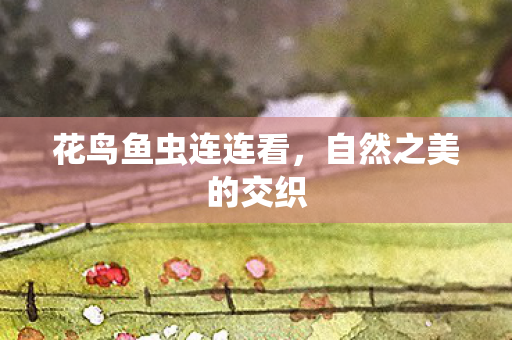 花鸟鱼虫连连看，自然之美的交织