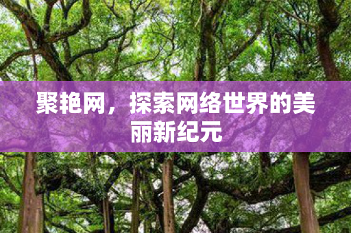 聚艳网，探索网络世界的美丽新纪元