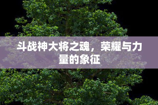 斗战神大将之魂，荣耀与力量的象征