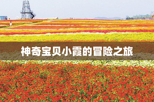 神奇宝贝小霞的冒险之旅