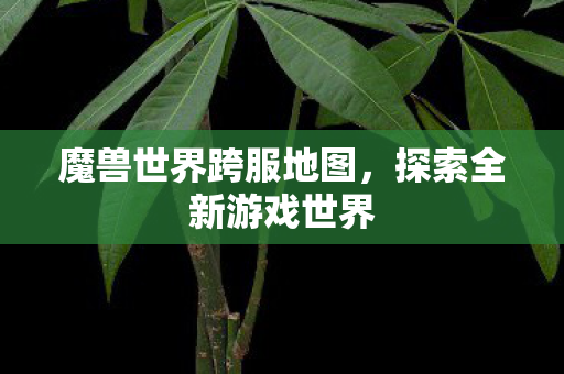 魔兽世界跨服地图，探索全新游戏世界