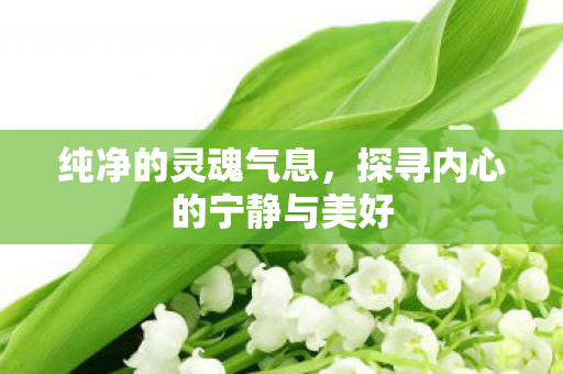 纯净的灵魂气息，探寻内心的宁静与美好