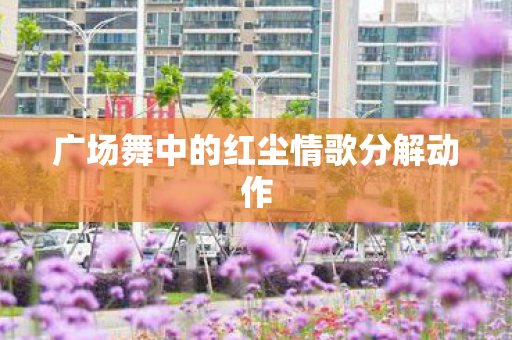 广场舞中的红尘情歌分解动作