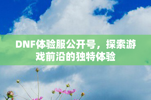 DNF体验服公开号，探索游戏前沿的独特体验