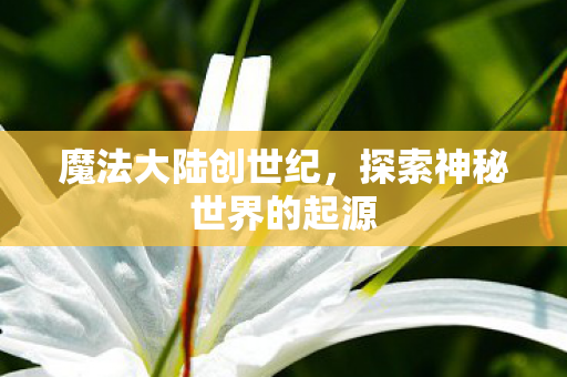 魔法大陆创世纪，探索神秘世界的起源
