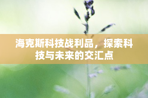 海克斯科技战利品，探索科技与未来的交汇点