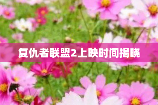 复仇者联盟2上映时间揭晓