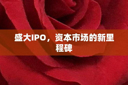 盛大IPO，资本市场的新里程碑