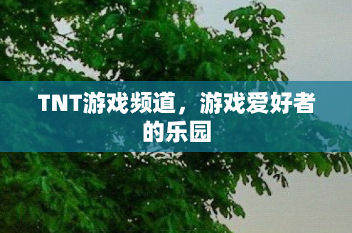 TNT游戏频道，游戏爱好者的乐园