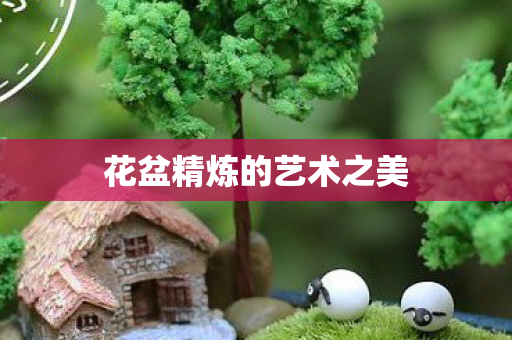 花盆精炼的艺术之美