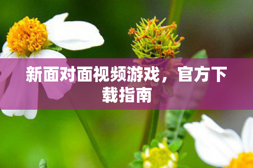 新面对面视频游戏，官方下载指南
