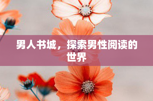 男人书城，探索男性阅读的世界