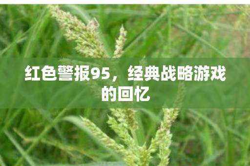红色警报95,经典战略游戏的回忆 红色警报95,经典战略游戏的回忆