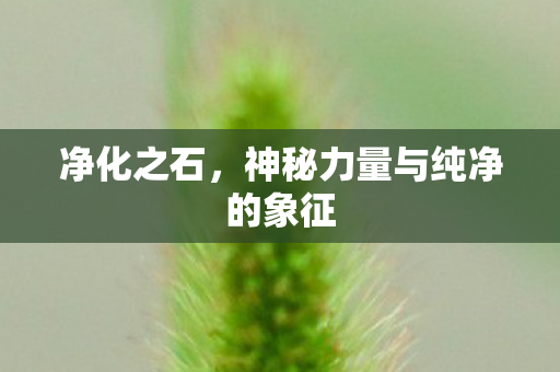 净化之石，神秘力量与纯净的象征