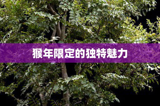 猴年限定的独特魅力