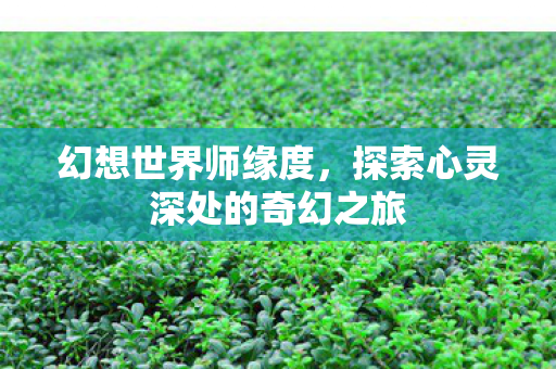 幻想世界师缘度，探索心灵深处的奇幻之旅