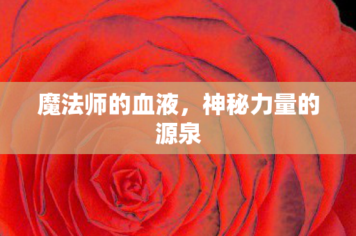 魔法师的血液，神秘力量的源泉