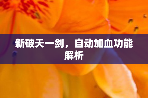 新破天一剑，自动加血功能解析