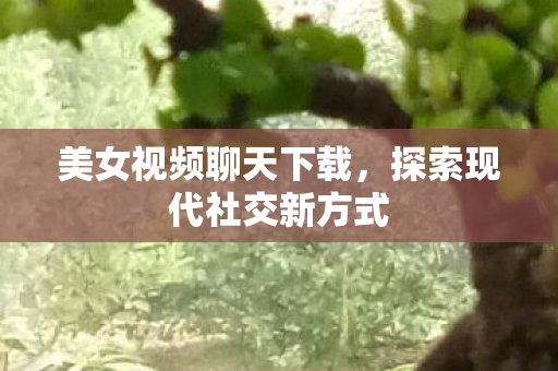 美女视频聊天下载，探索现代社交新方式