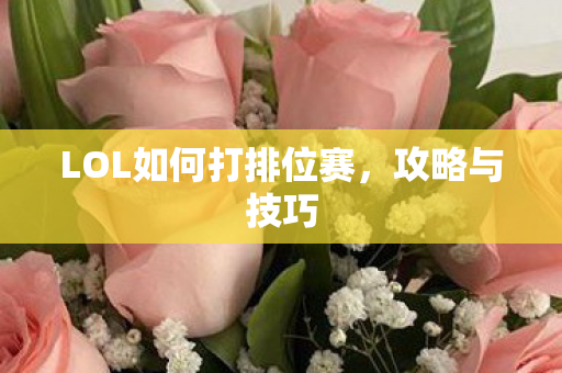 LOL如何打排位赛，攻略与技巧