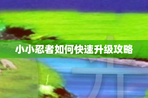 小小忍者如何快速升级攻略