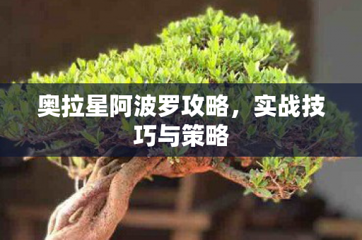 奥拉星阿波罗攻略，实战技巧与策略