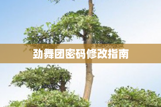 劲舞团密码修改指南