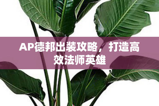 AP德邦出装攻略，打造高效法师英雄