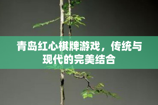 青岛红心棋牌游戏，传统与现代的完美结合