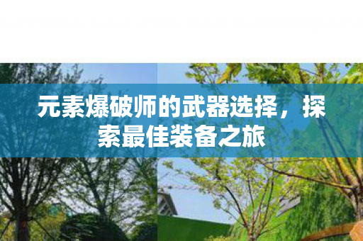 元素爆破师的武器选择，探索最佳装备之旅