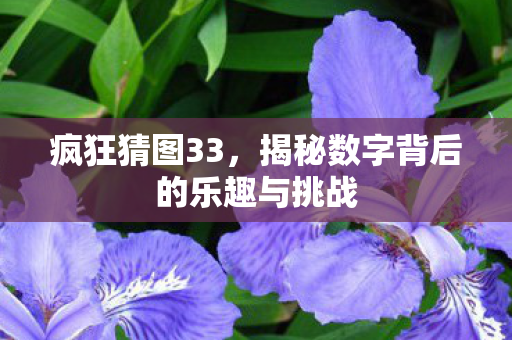 疯狂猜图33，揭秘数字背后的乐趣与挑战