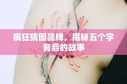 疯狂猜图品牌，揭秘五个字背后的故事