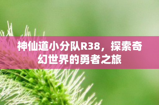 神仙道小分队R38，探索奇幻世界的勇者之旅