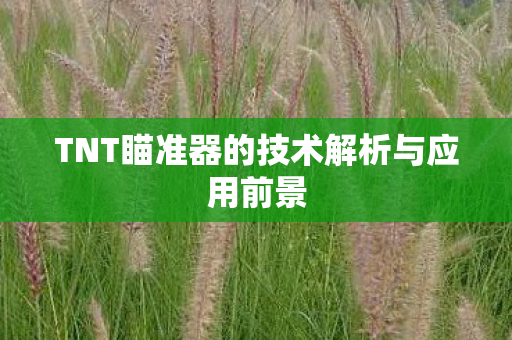 TNT瞄准器的技术解析与应用前景