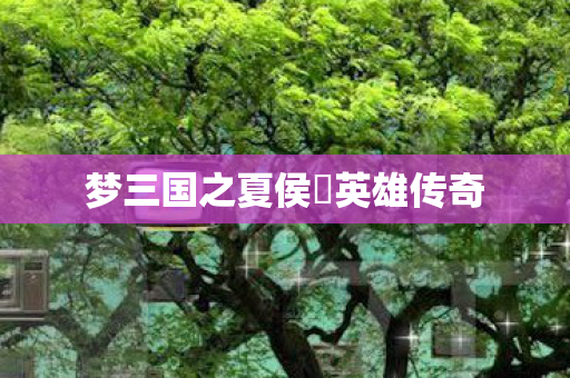梦三国之夏侯惇英雄传奇