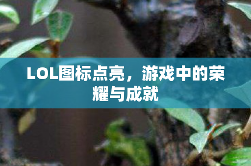 LOL图标点亮，游戏中的荣耀与成就