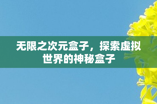 无限之次元盒子，探索虚拟世界的神秘盒子