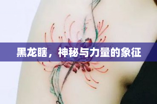 黑龙瞎，神秘与力量的象征