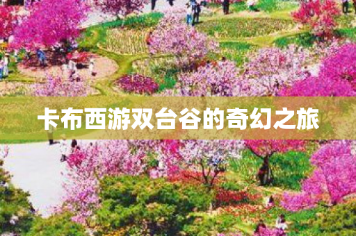 卡布西游双台谷的奇幻之旅