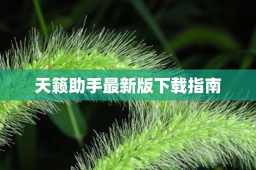 天籁助手最新版下载指南