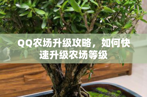 QQ农场升级攻略，如何快速升级农场等级
