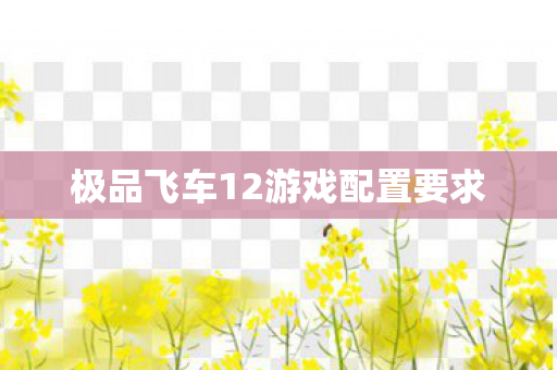 极品飞车12游戏配置要求