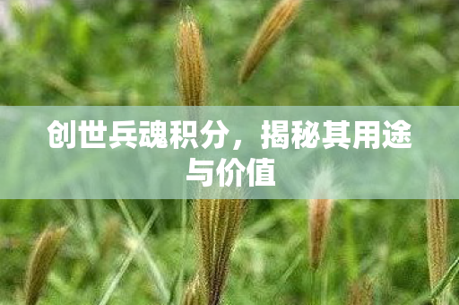 创世兵魂积分，揭秘其用途与价值