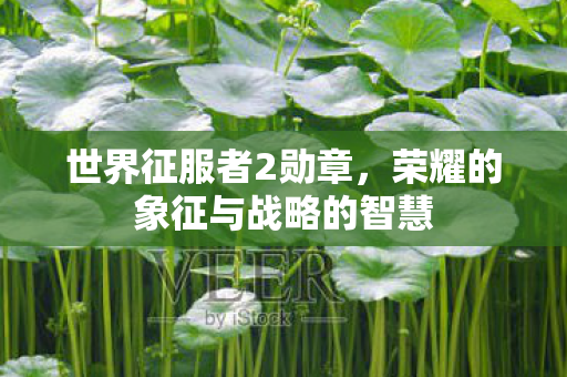 世界征服者2勋章，荣耀的象征与战略的智慧