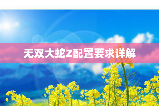 无双大蛇Z配置要求详解