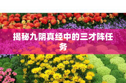揭秘九阴真经中的三才阵任务