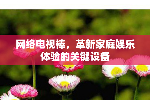 网络电视棒，革新家庭娱乐体验的关键设备