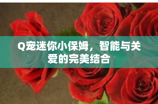 Q宠迷你小保姆，智能与关爱的完美结合